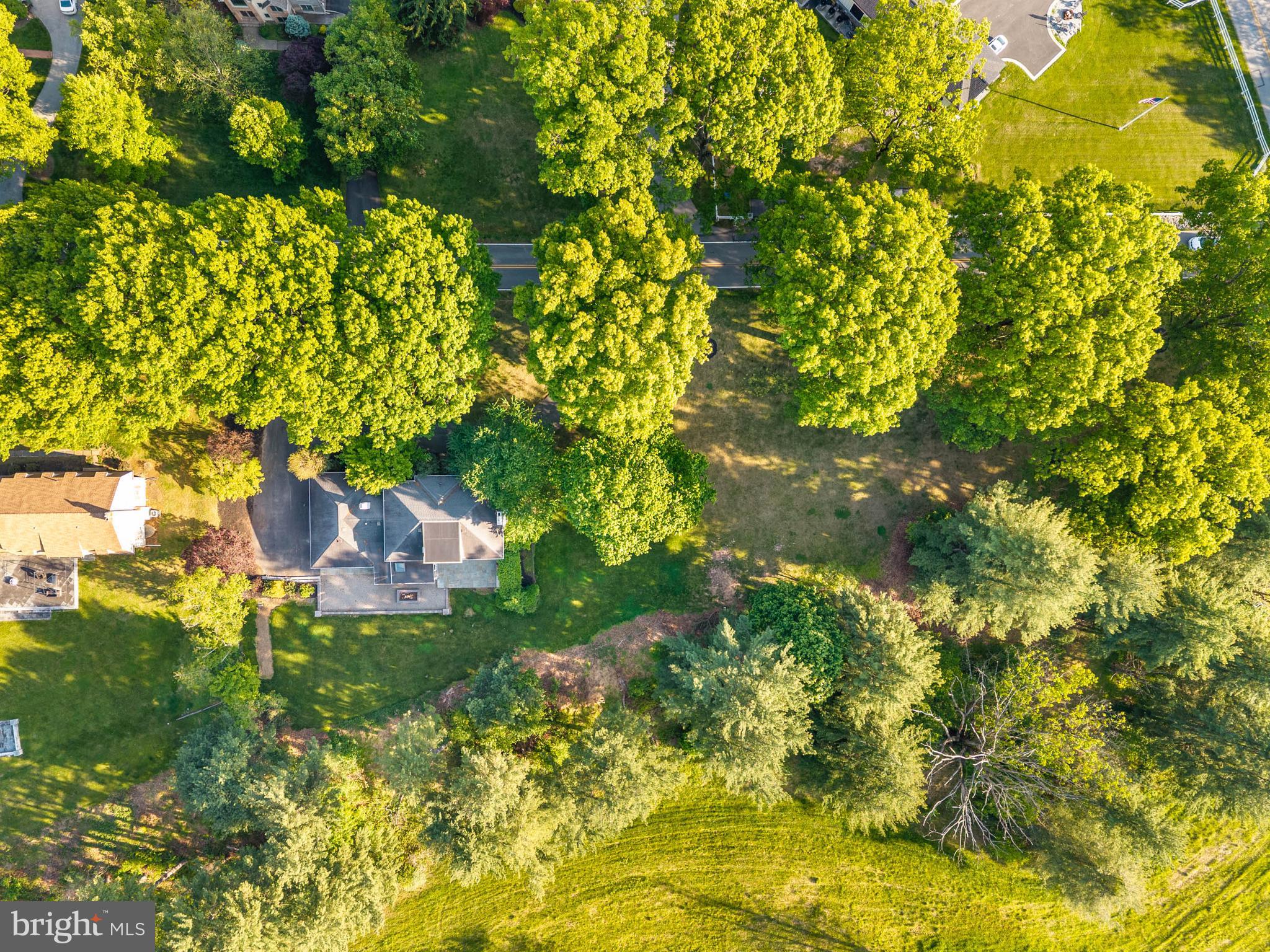 533 Gulph Road Wayne, PA 19087 - Photo 39 of 43 a backyard of a house with lots of plants and small trees