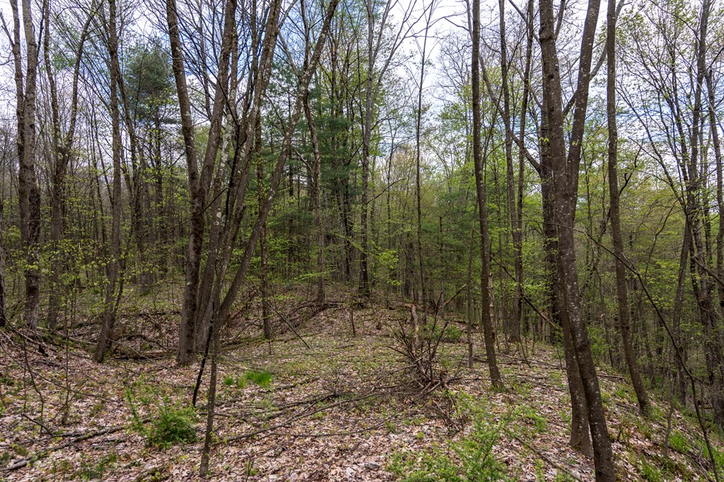0 Huefner Spring Road Shippenville, PA 16254 - Photo 12 of 18 Gallery Image 12