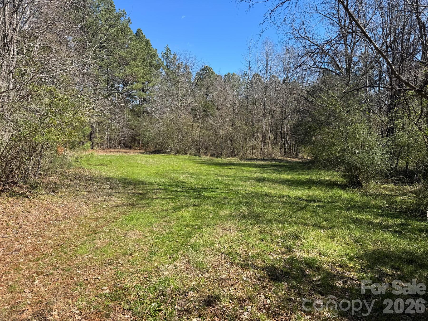 113.58-ac S Old York Road Chester, SC 29706 - Photo 3 of 6 a view of outdoor space with trees all around