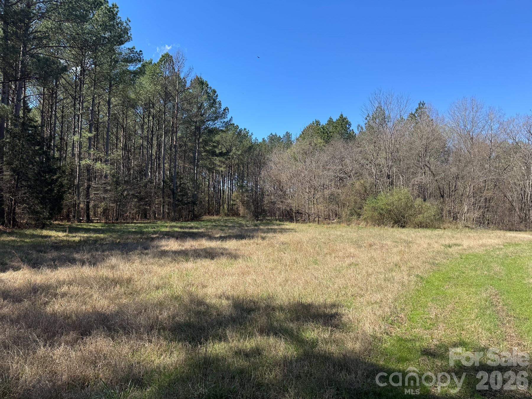 113.58-ac S Old York Road Chester, SC 29706 - Photo 5 of 6 a view of a yard