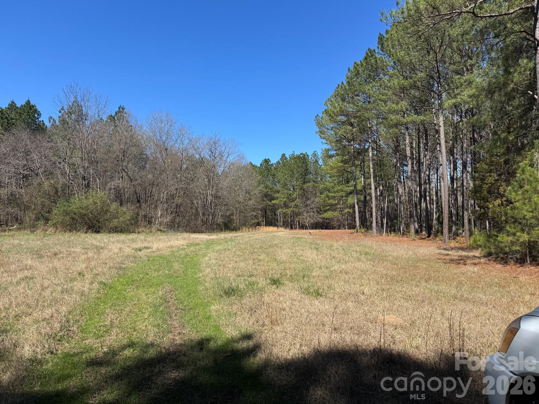 113.58-ac S Old York Road Chester, SC 29706 - Photo 6 of 6 a yard with lake view