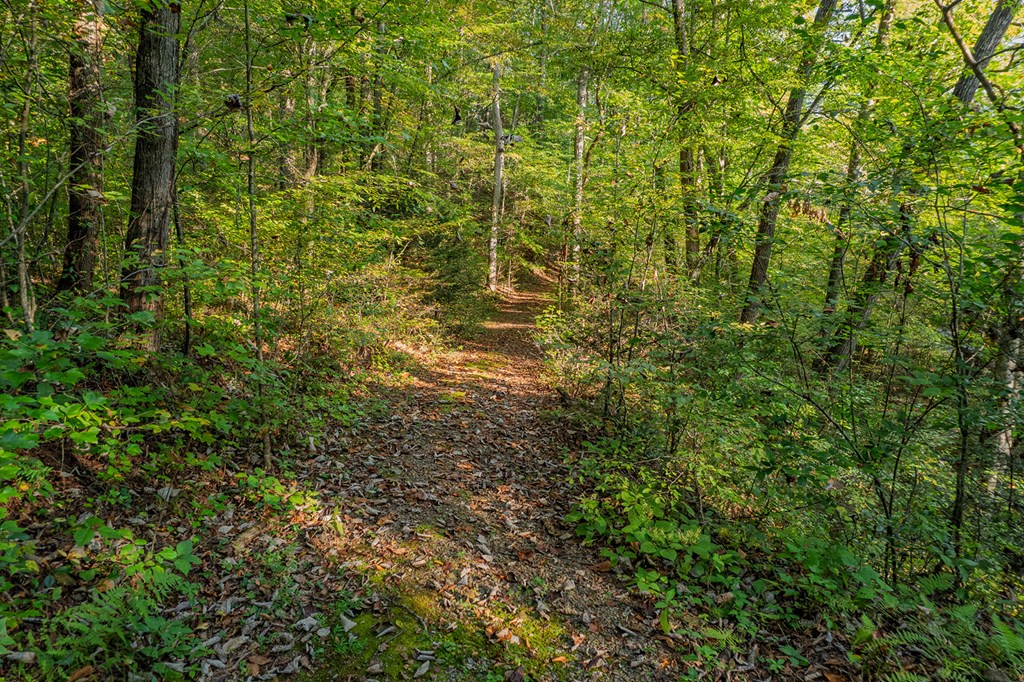 4527 Gates Chapel Road Ellijay, GA 30540 - Photo 32 of 39 Gallery Image 32