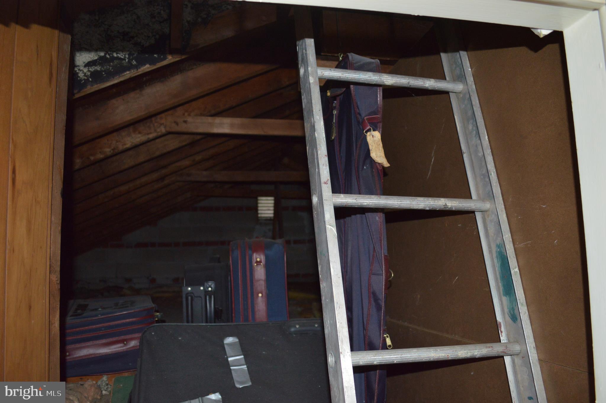 708 Marshall Road Brookhaven, PA 19015 - Photo 23 of 25 atic storage