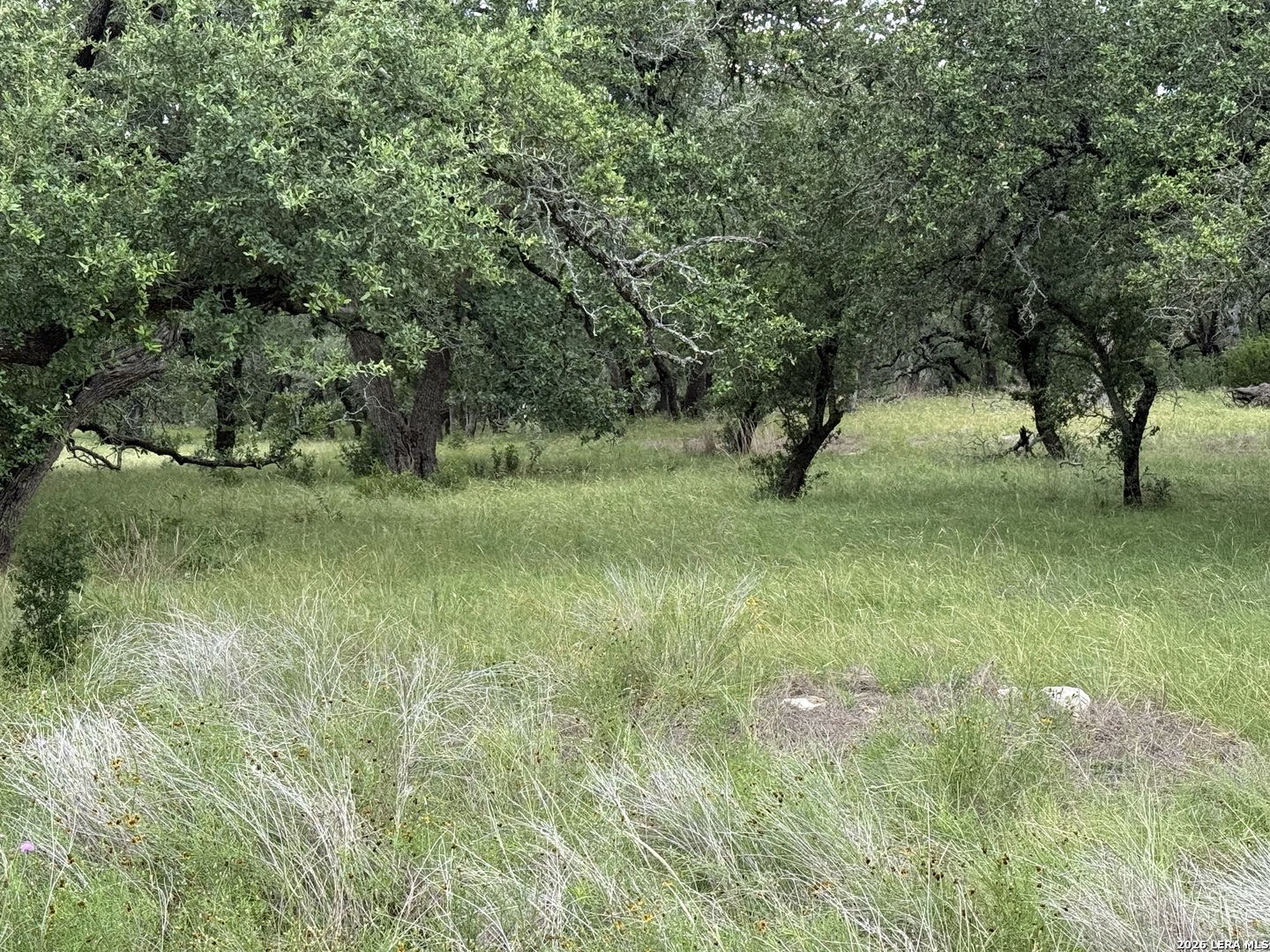 34781 High Gate Road Bulverde, TX 78163 - Photo 9 of 20