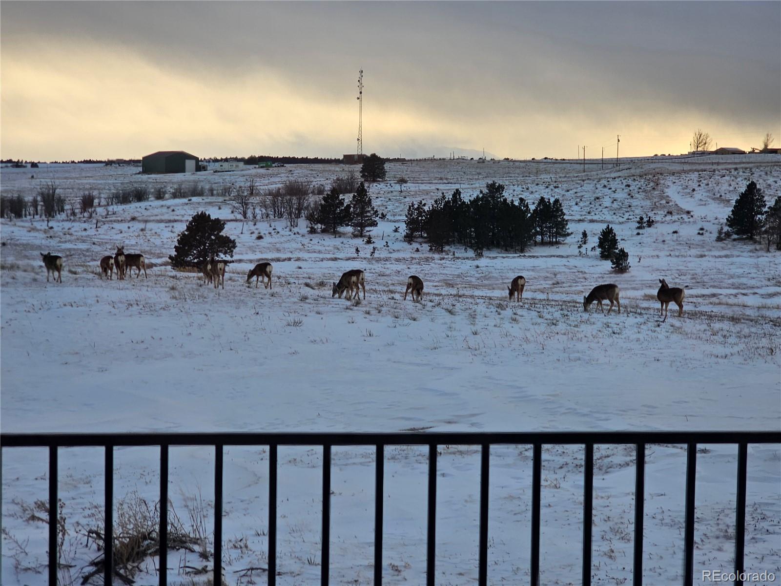 25 County Road, Unit 2 Elizabeth, CO 80107 - Photo 8 of 10