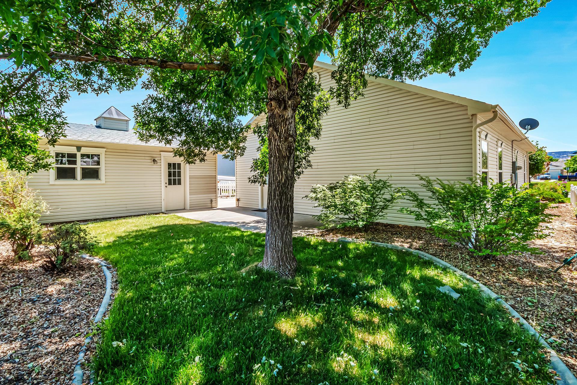 1229 Windsor Park Drive Fruita, CO 81521 - Photo 8 of 36 a backyard of a house with lots of green space