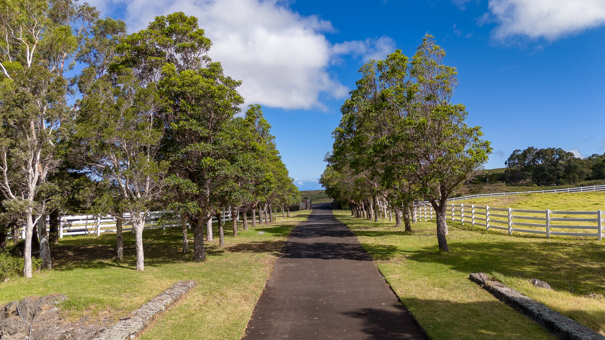 59-1676 Kohala Ranch Road Kamuela, HI 96743 - Photo 5 of 15