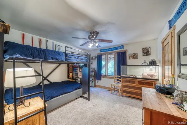 $1,095,000 | 18525 Via Ponderosa Drive, Buena Vista, CO 81211