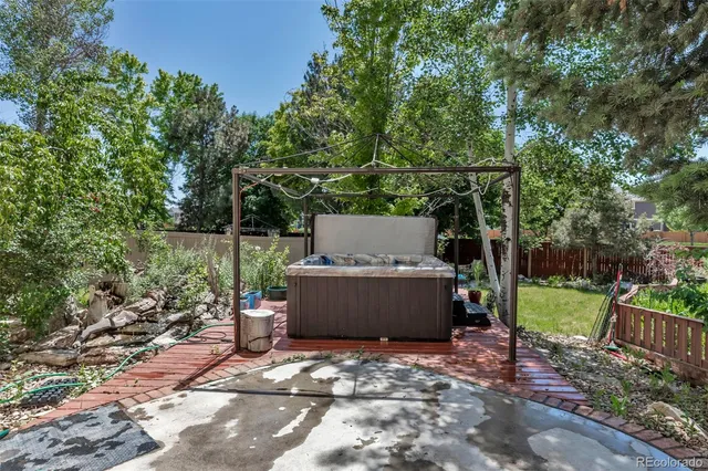 a view of a garden with plants and a bench