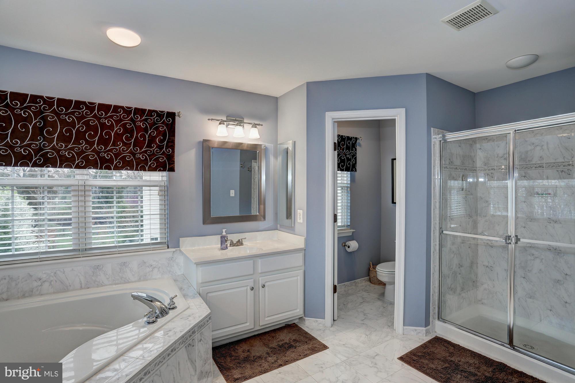 18237 Mill Spring Court Leesburg, VA 20176 - Photo 19 of 30 Bath (Master)