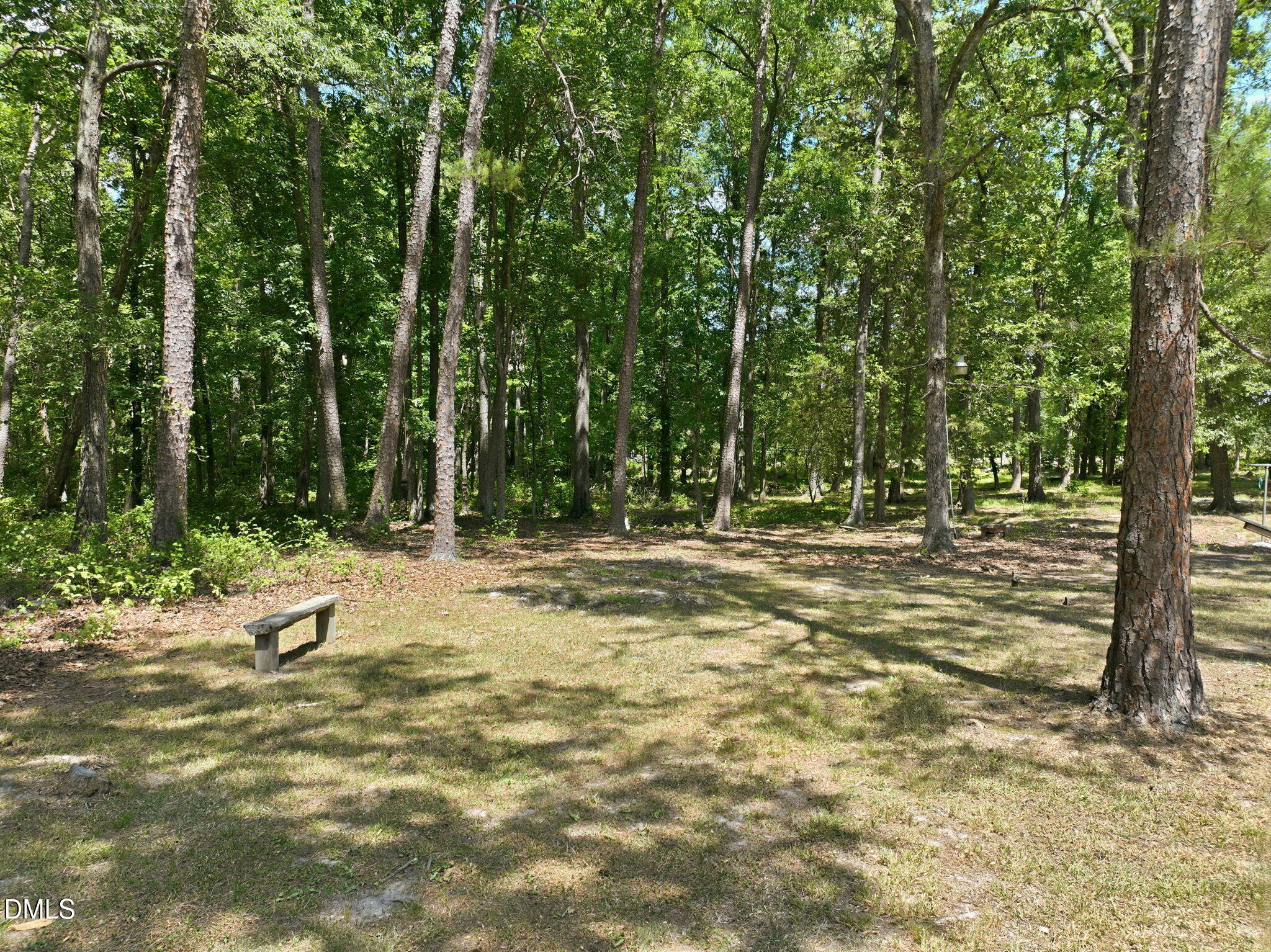 908 Chambers Road Rougemont, NC 27572 - Photo 45 of 50