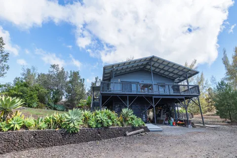 a view of a garden with plants and trees