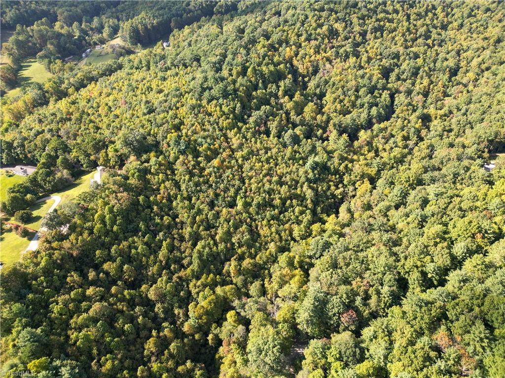 0 Orchard Road Deep Gap, NC 28618 - Photo 18 of 19