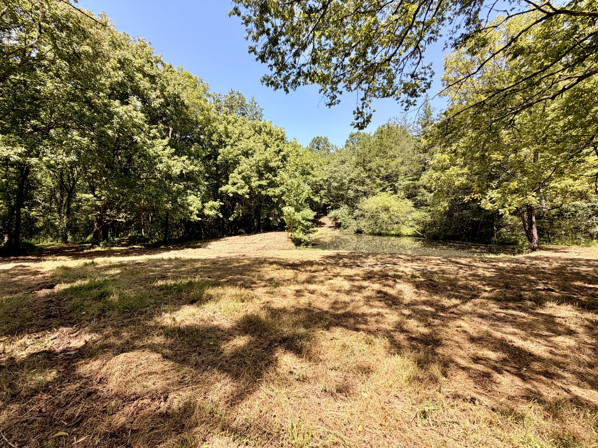 877 Hanna Branch Road Prospect, TN 38477 - Photo 18 of 49 Gallery Image 18