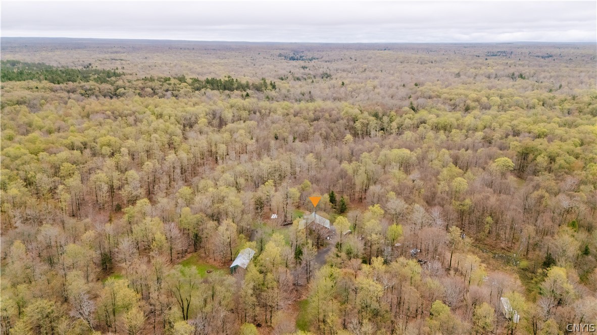 3642 Van Brocklin Road Worth, NY 13659 - Photo 45 of 47