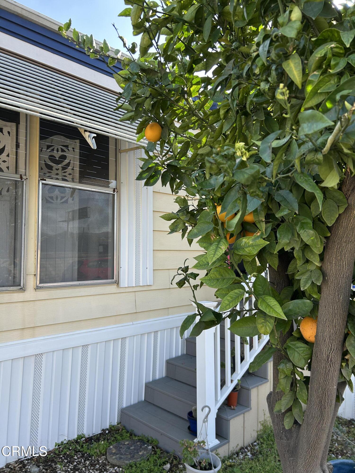 142 Geranium Way, Unit 142 Ventura, CA 93004 - Photo 22 of 23 a small garden covered with wooden fence