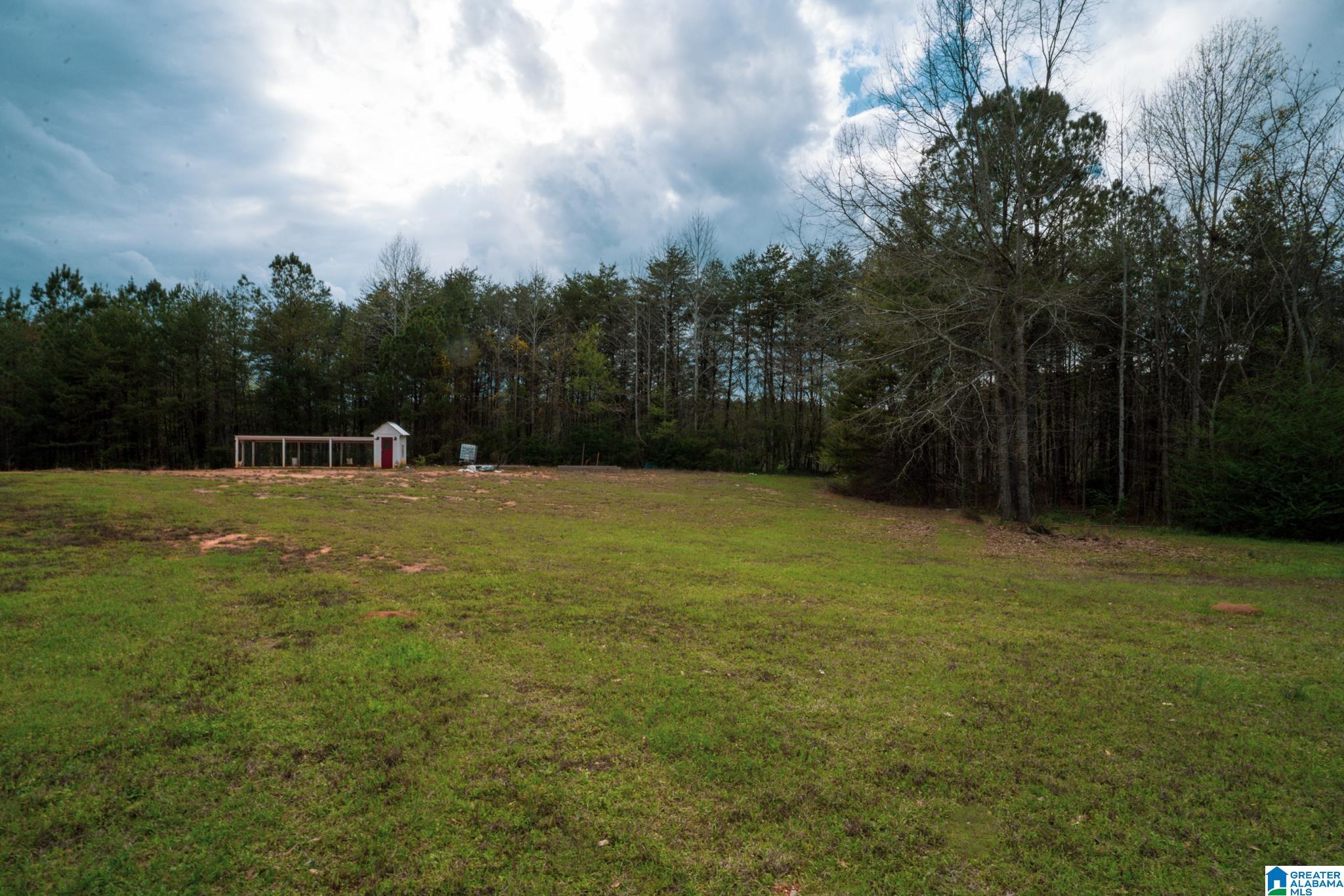 17571 Groundhog Road Adger, AL 35006 - Photo 90 of 94