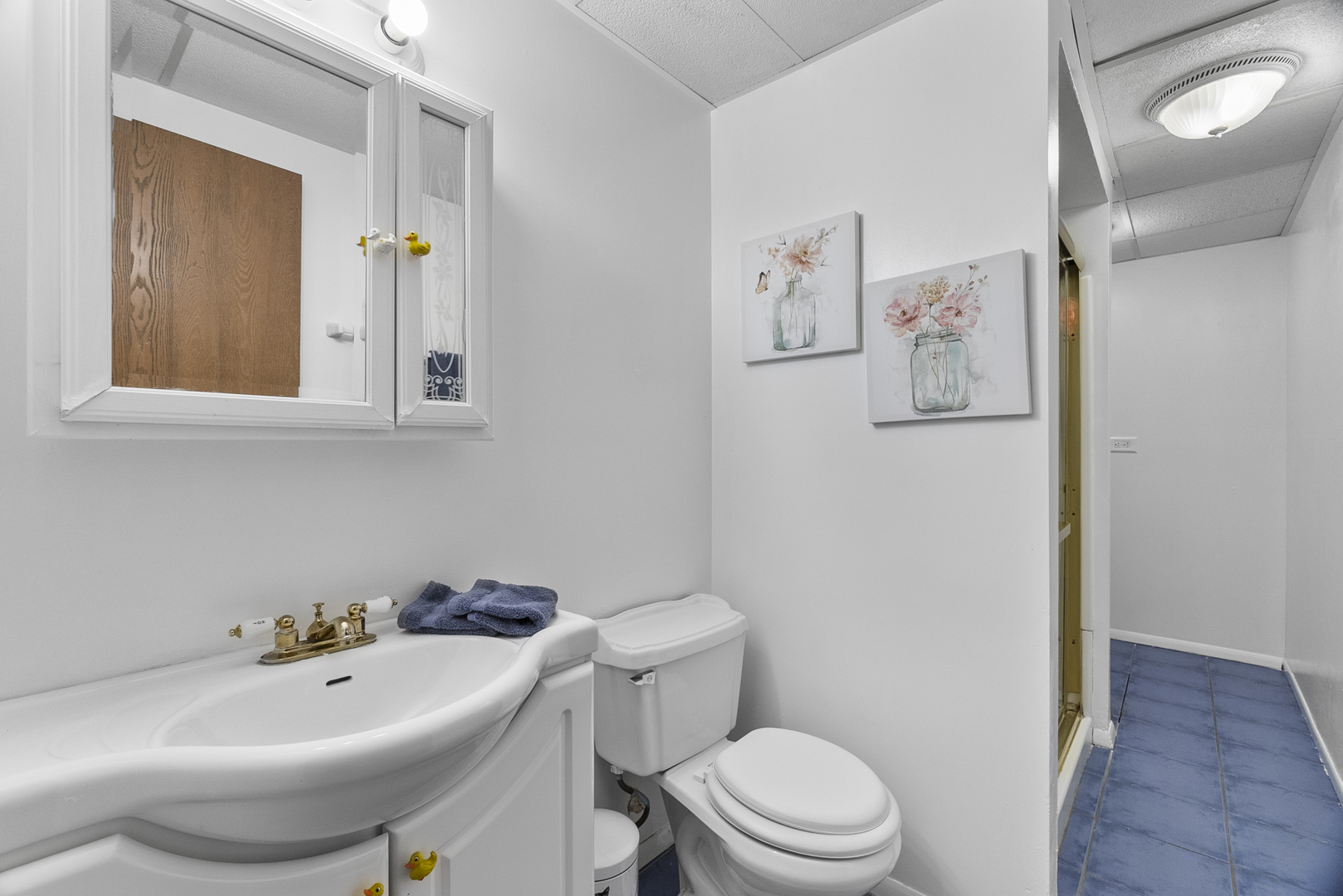 211 North Oltendorf Road Streamwood, IL 60107 - Photo 11 of 31