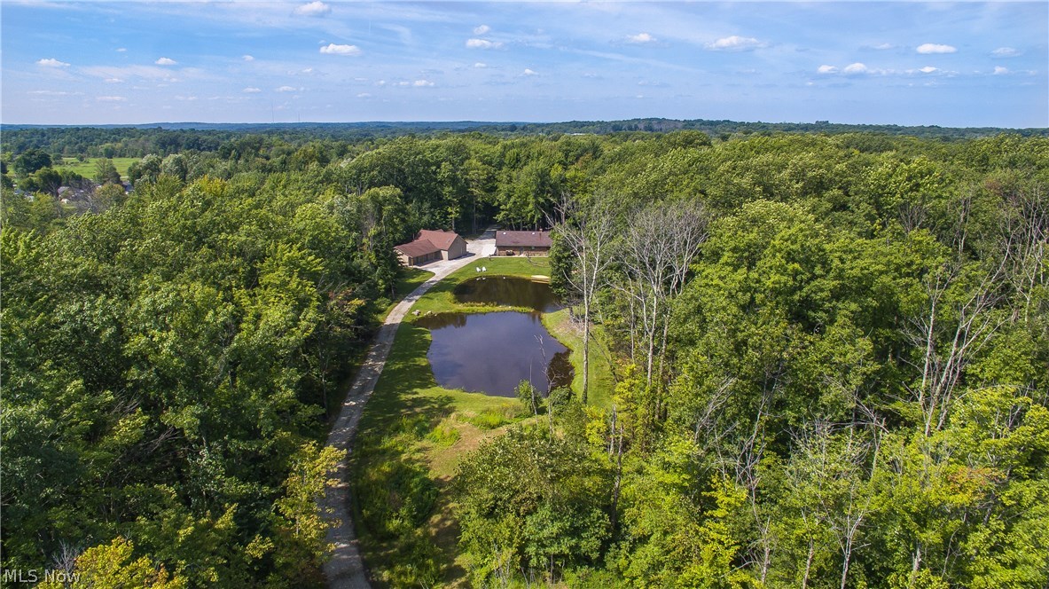 13599 Bass Lake Road Chardon, OH 44024 - Photo 3 of 35 Gallery Image 3