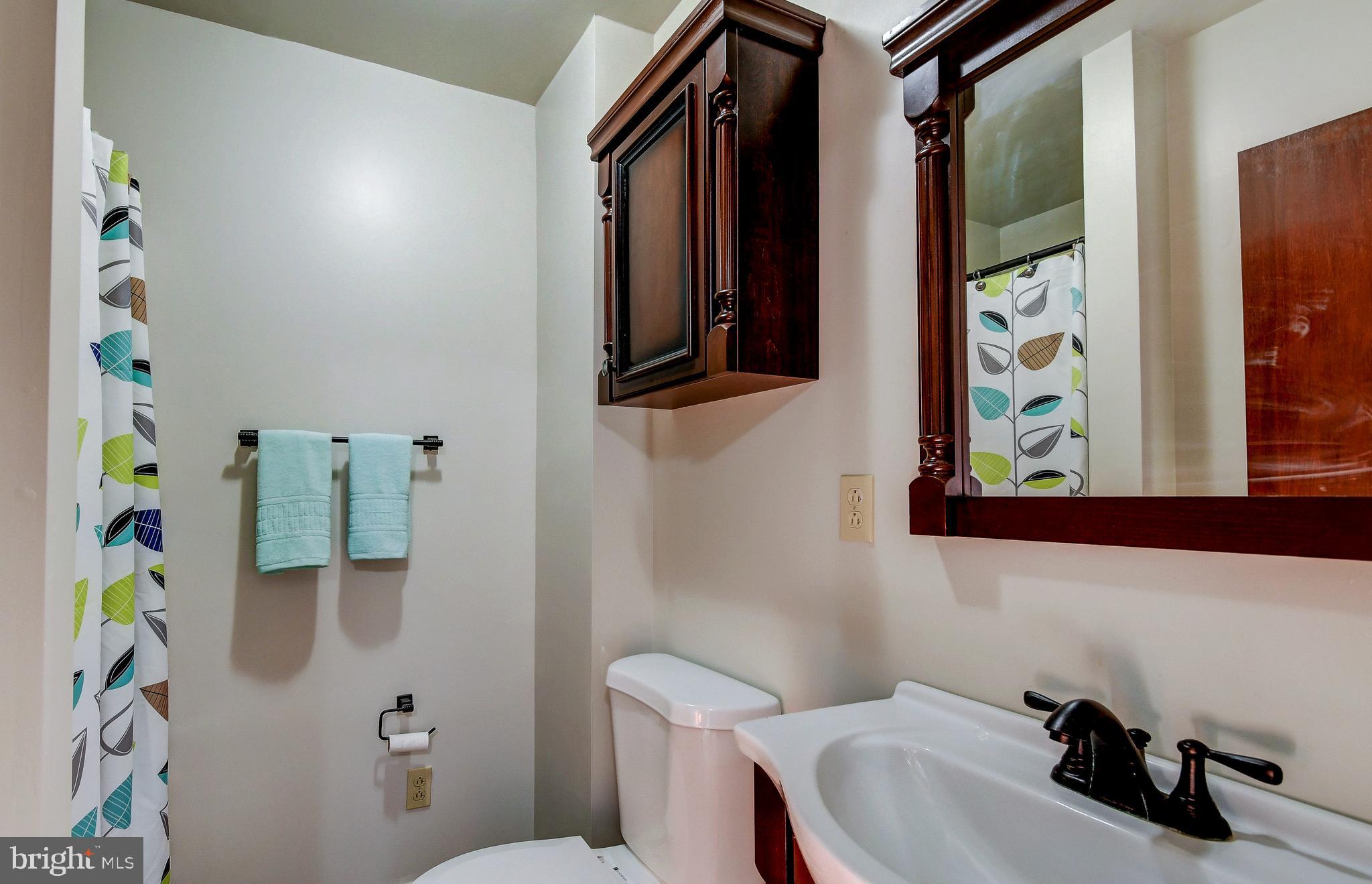9 West McKinley Road Delta, PA 17314 - Photo 26 of 40 Lower Level Full Bath