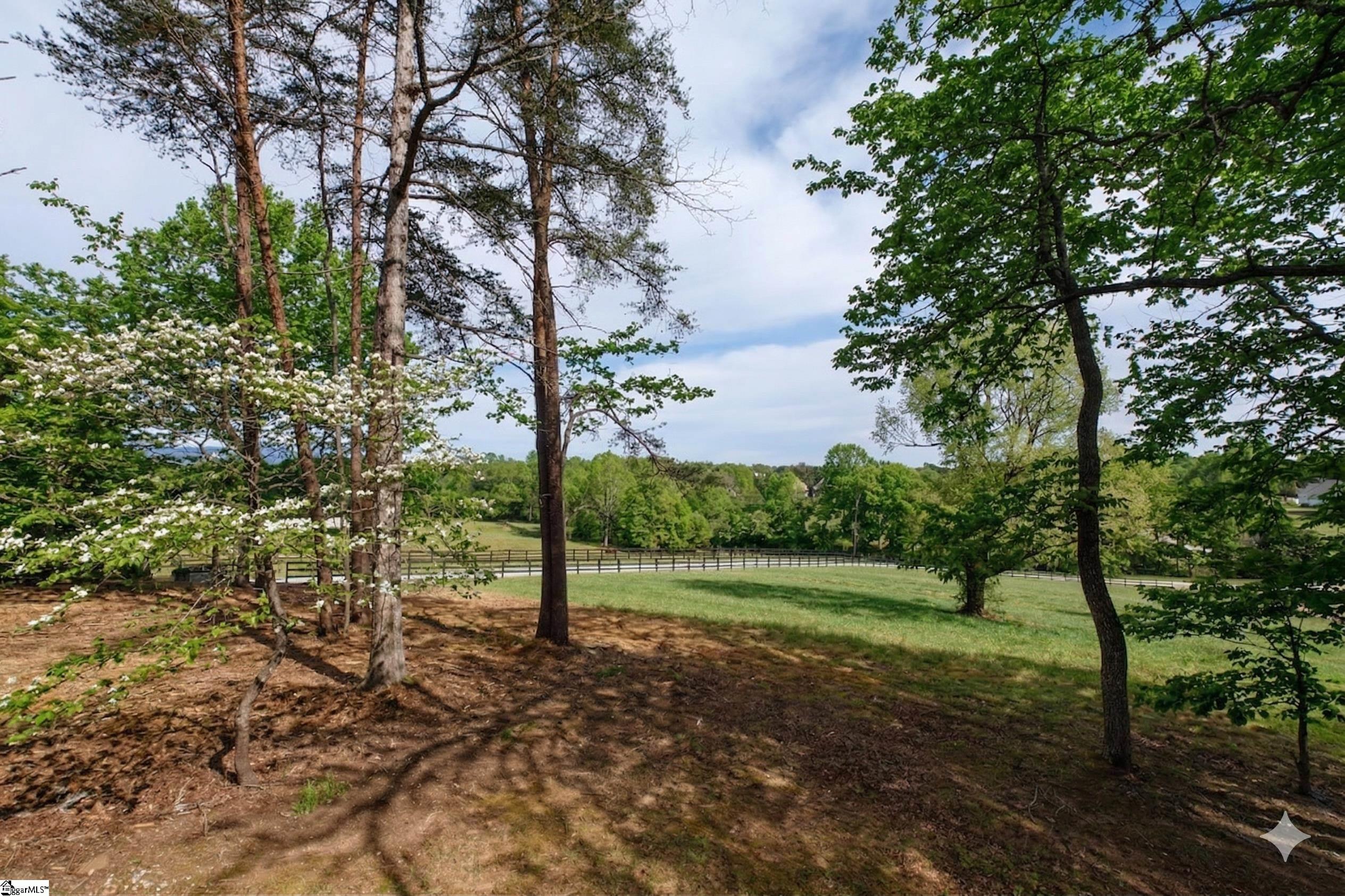 233 Stable Gate Drive Campobello, SC 29322 - Photo 5 of 50