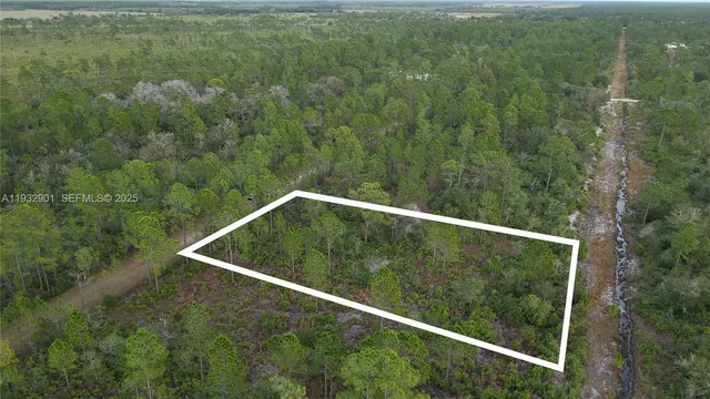 $20,000 | 215 Ixora Drive, Lake Wales, FL 33898