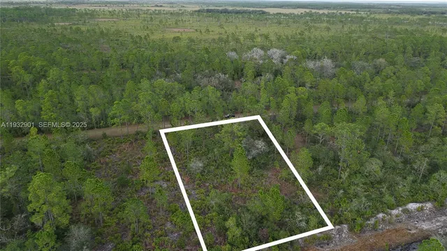 $20,000 | 215 Ixora Drive, Lake Wales, FL 33898