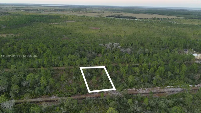 $20,000 | 215 Ixora Drive, Lake Wales, FL 33898