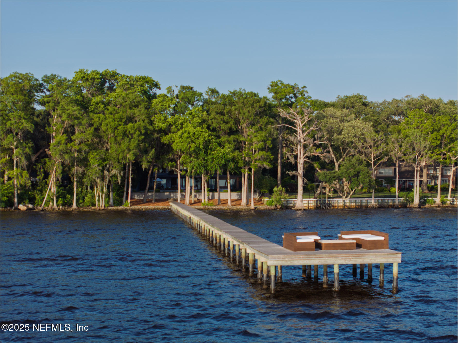 842 Fruit Cove Road St. Johns, FL 32259 - Photo 79 of 100 a view of swimming pool with lawn chairs and plants