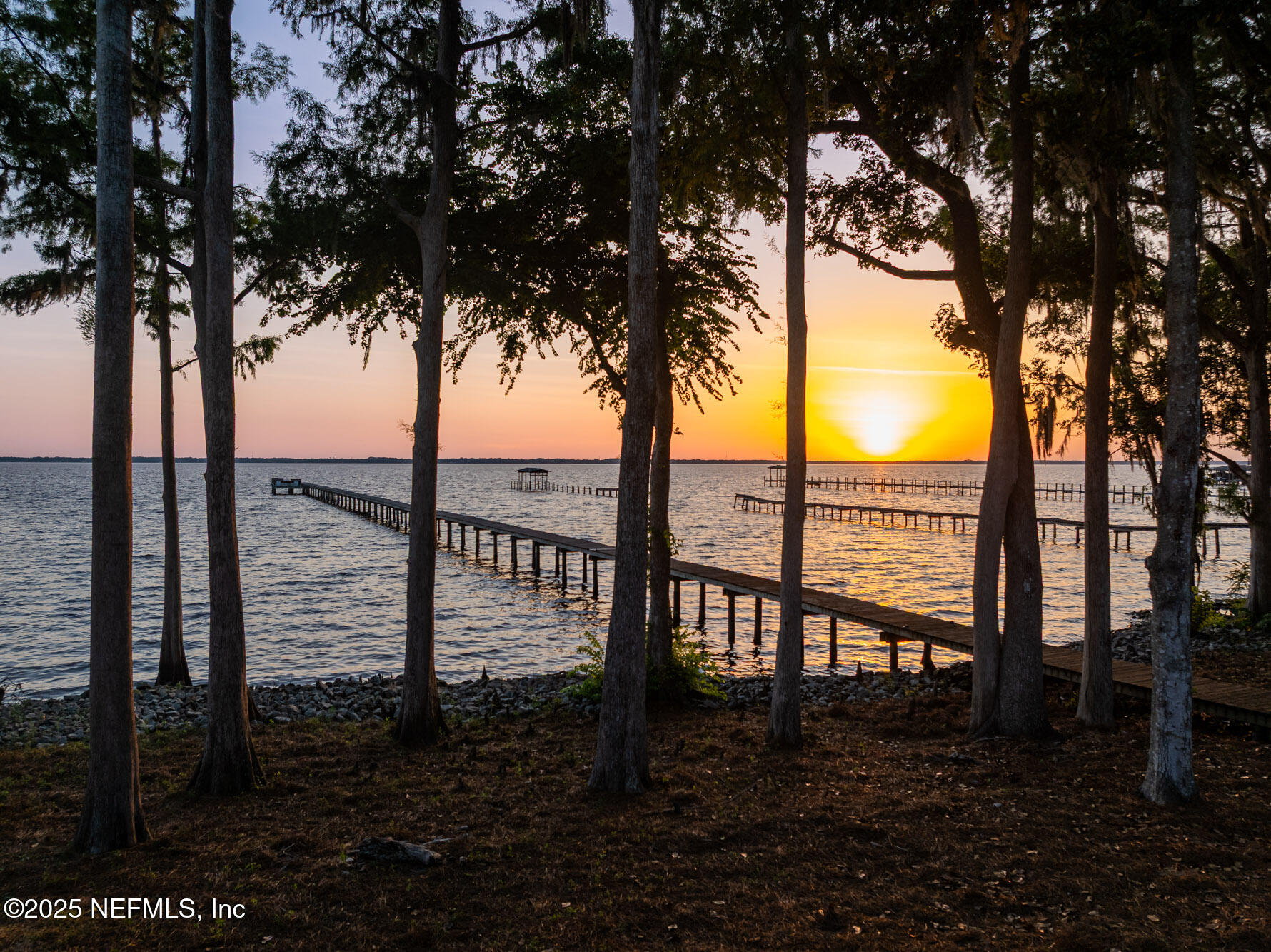 842 Fruit Cove Road St. Johns, FL 32259 - Photo 86 of 100 a view of outdoor space with garden