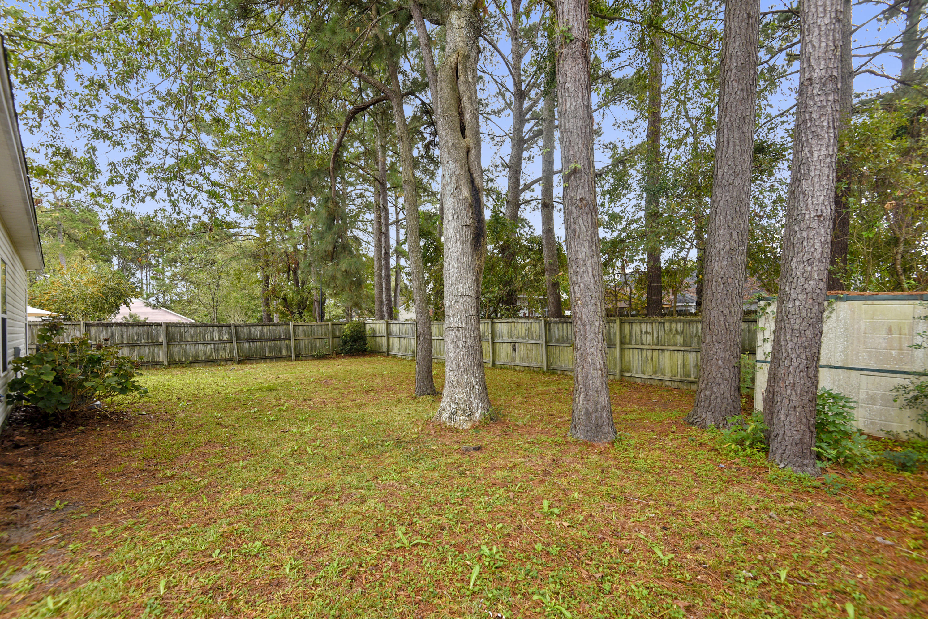 123 Coventry Road Summerville, SC 29486 - Photo 30 of 33 Exterior-Back Yard-DSC8561