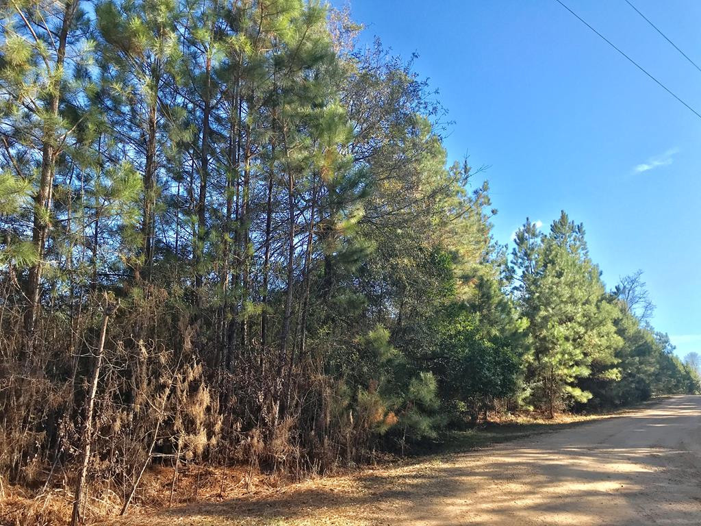 Tbd Tbd Friendship Road McComb, MS 39648 - Photo 1 of 3 Main View