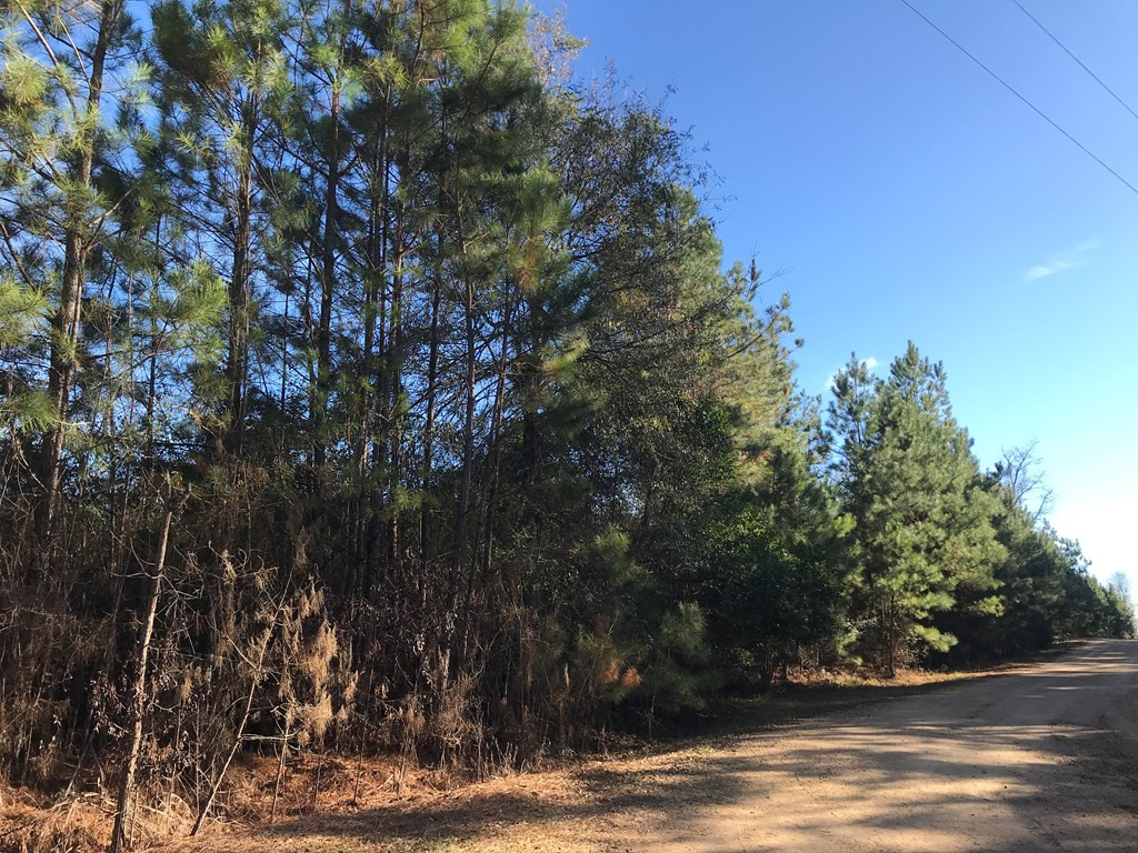 Tbd Tbd Friendship Road McComb, MS 39648 - Photo 2 of 3 Photo 2