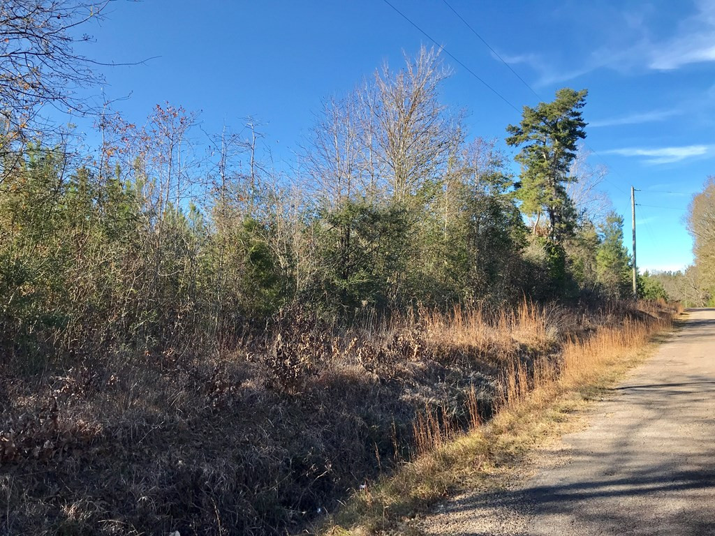 Tbd Tbd Friendship Road McComb, MS 39648 - Photo 3 of 3 Photo 3