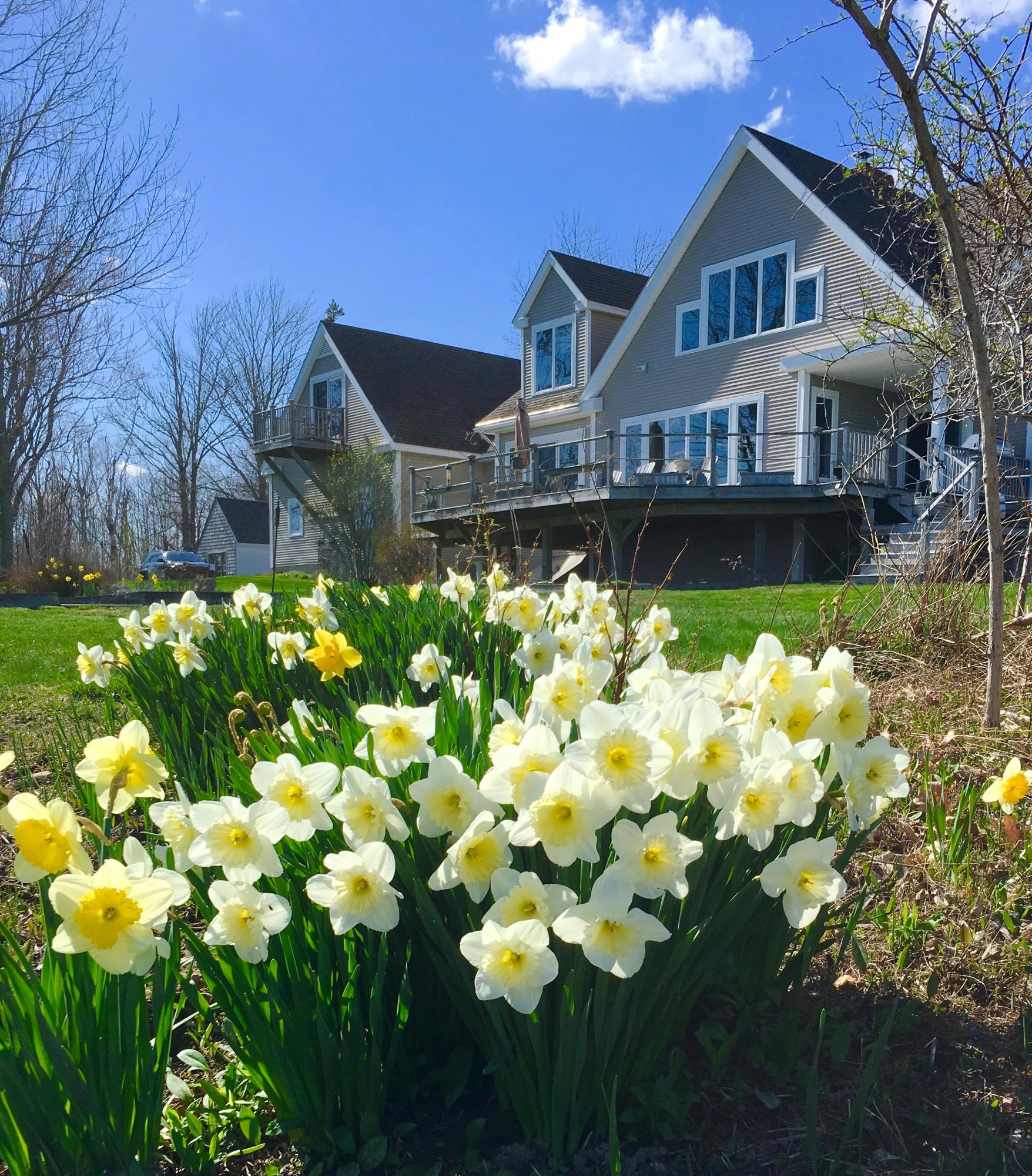80 Moontide Castine, ME 04421 - Photo 65 of 66 IMG_8902
