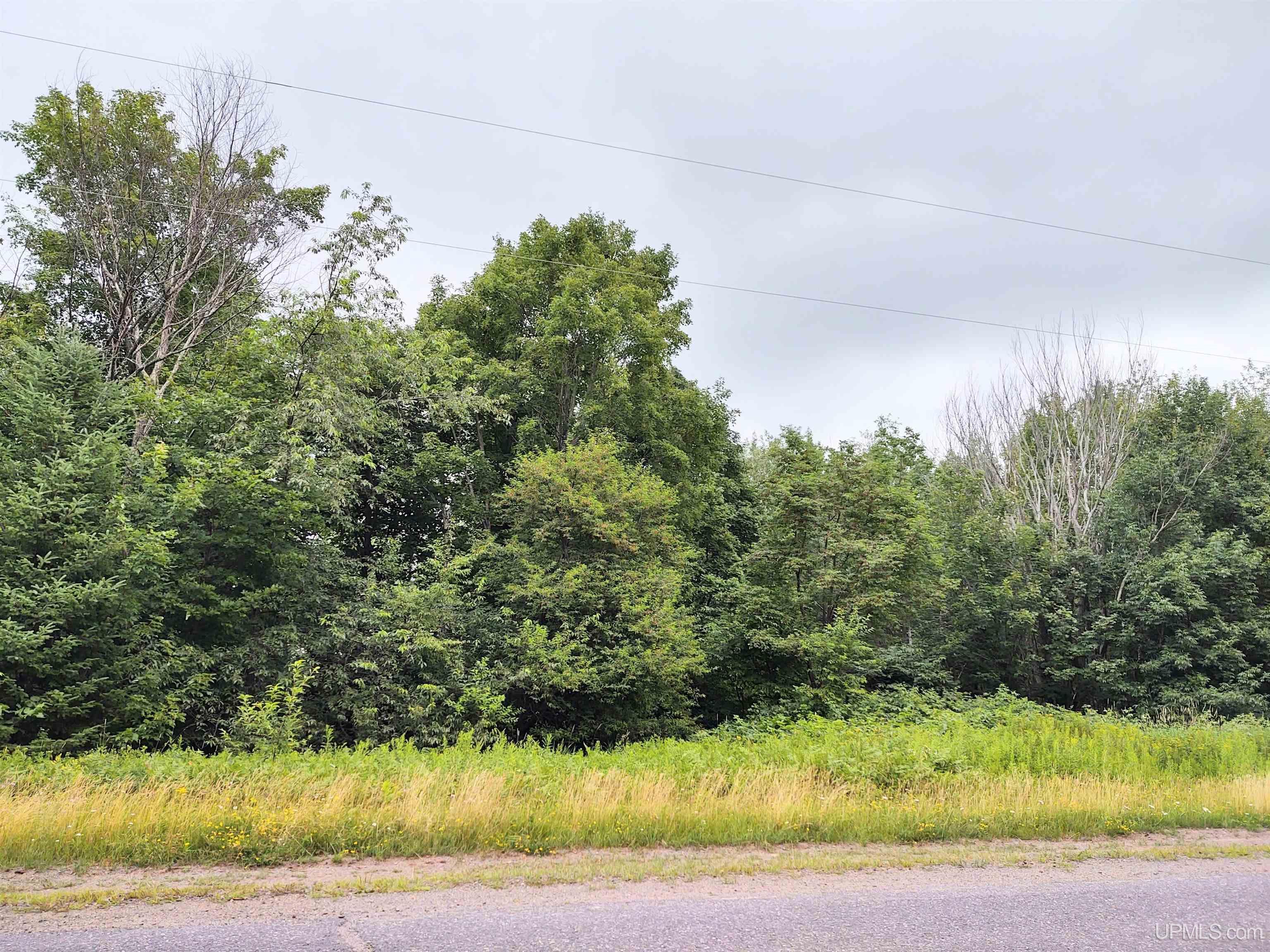 24430 Franti Road Covington, MI 49919 - Photo 42 of 43