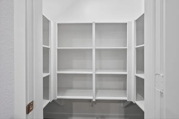 a room with walk in closet with empty racks