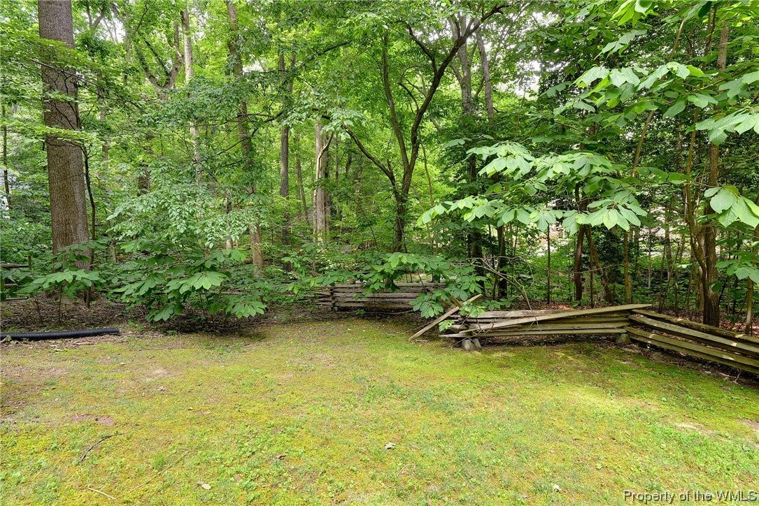 106 Saxon Road Williamsburg, VA 23185 - Photo 22 of 24 Gallery Image 22
