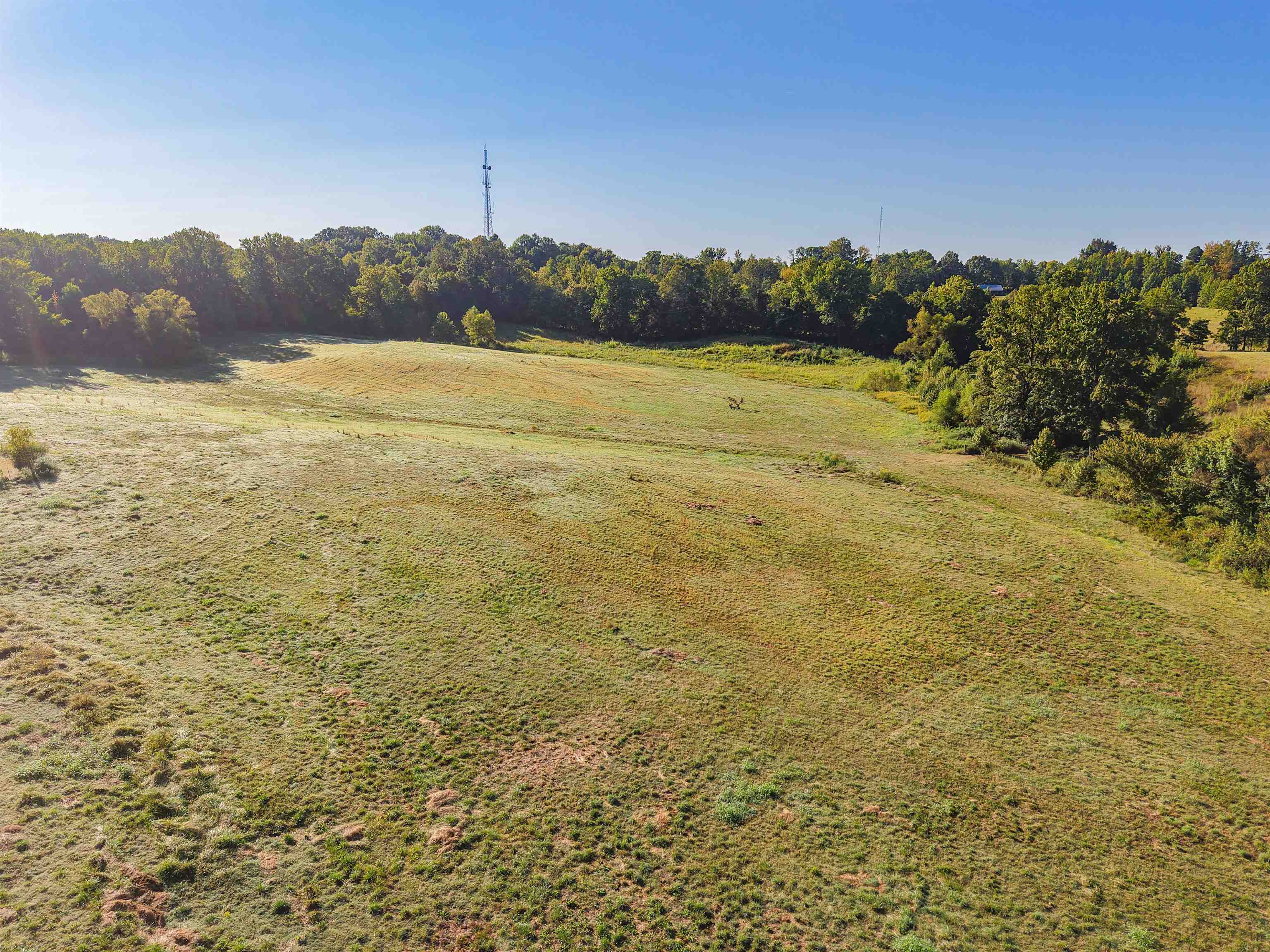 0 Bluebird Hill Road Ripley, TN 38063 - Photo 14 of 17 a view of a field with an ocean view
