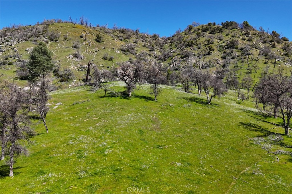 39249 Road 800 Raymond, CA 93653 - Photo 9 of 36