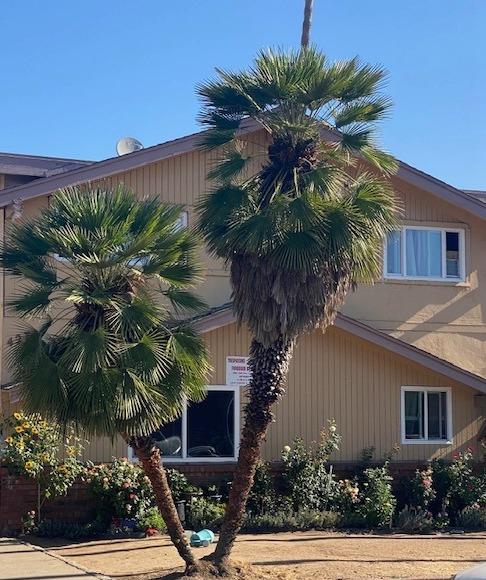 427 Locust Street Lodi, CA 95240 - Photo 6 of 6