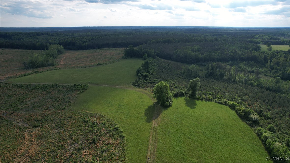 878 Dusty Road Crewe, VA 23930 - Photo 12 of 50 a view of lake