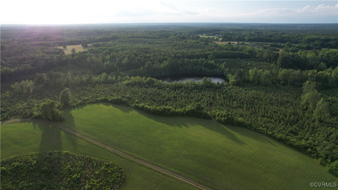 878 Dusty Road Crewe, VA 23930 - Photo 18 of 50 a view of a lake with a yard
