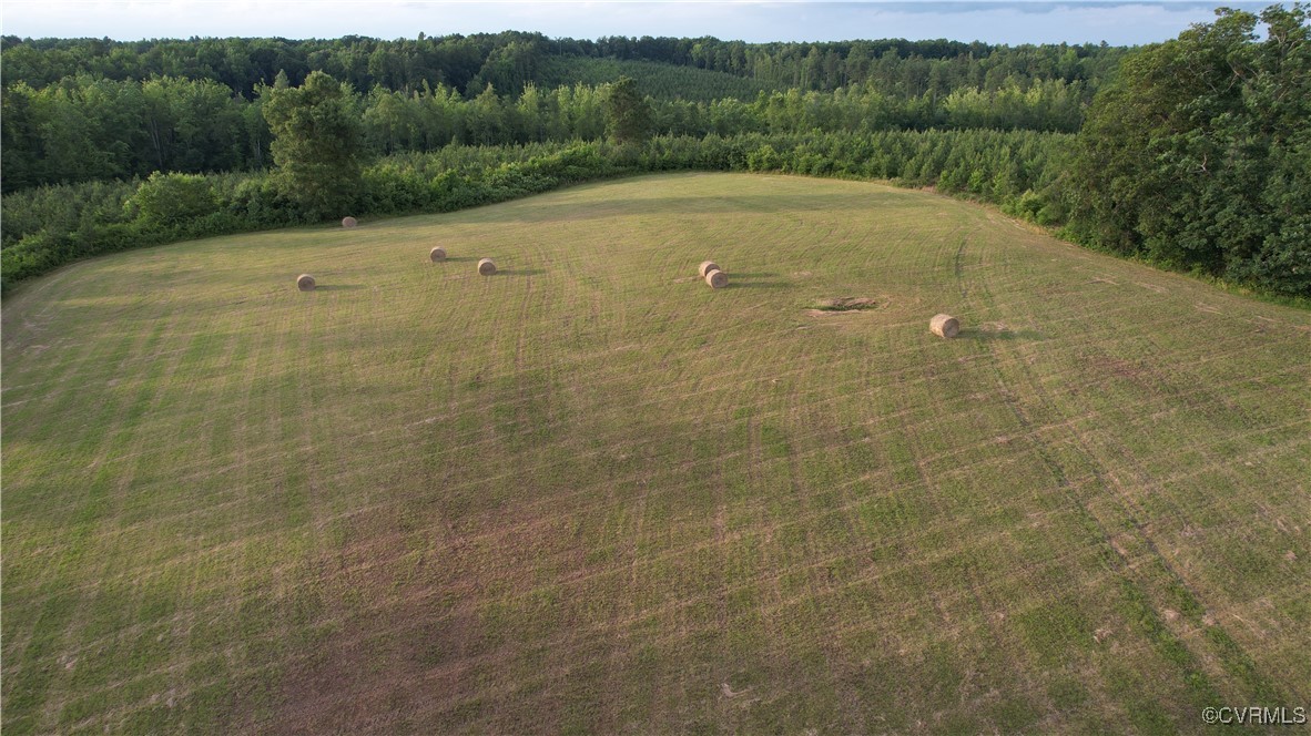878 Dusty Road Crewe, VA 23930 - Photo 21 of 50 a view of a lake view