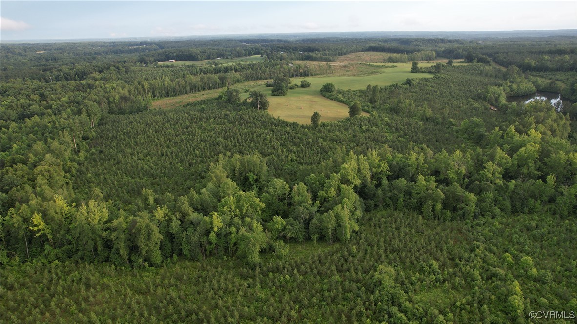 878 Dusty Road Crewe, VA 23930 - Photo 24 of 50 a view of a city with lush green forest
