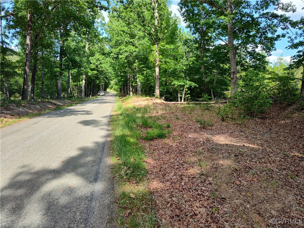 878 Dusty Road Crewe, VA 23930 - Photo 26 of 50 a view of backyard with green space