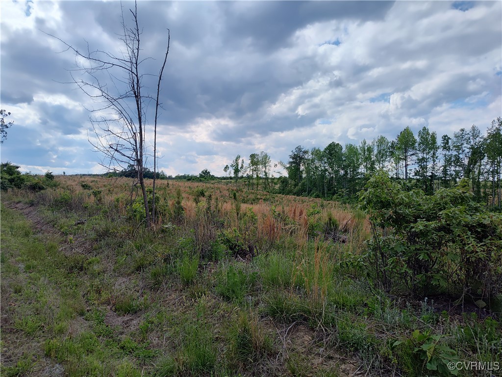 878 Dusty Road Crewe, VA 23930 - Photo 27 of 50 a view of a lake with a yard