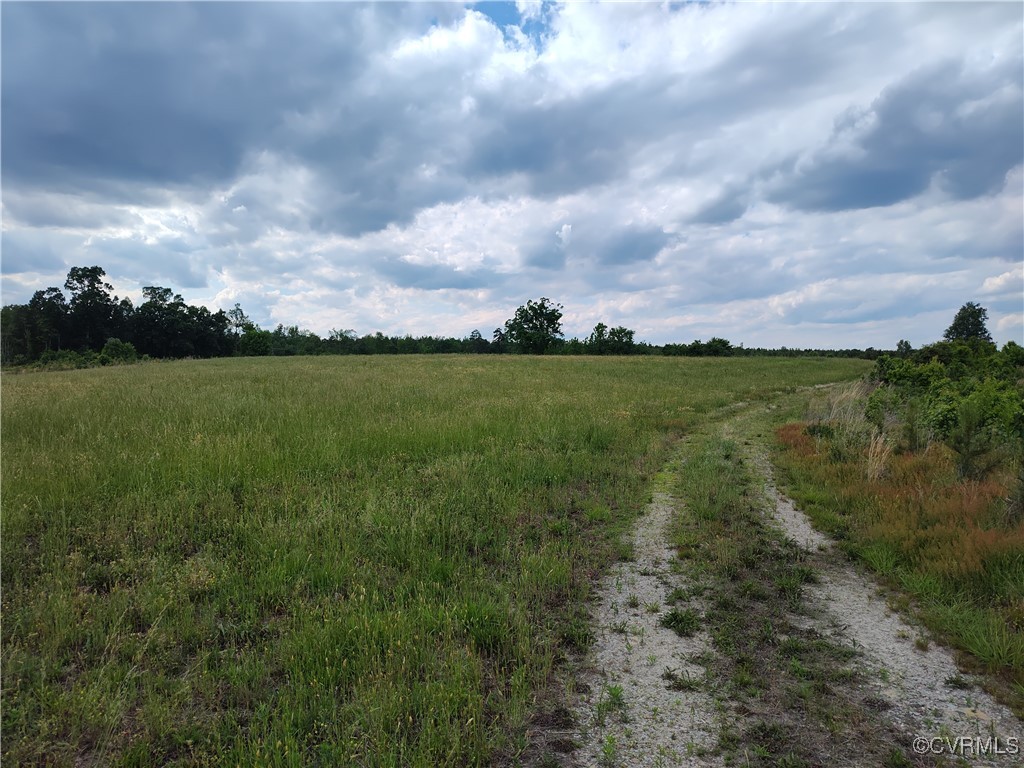 878 Dusty Road Crewe, VA 23930 - Photo 30 of 50 a view of a big yard with lots of green space