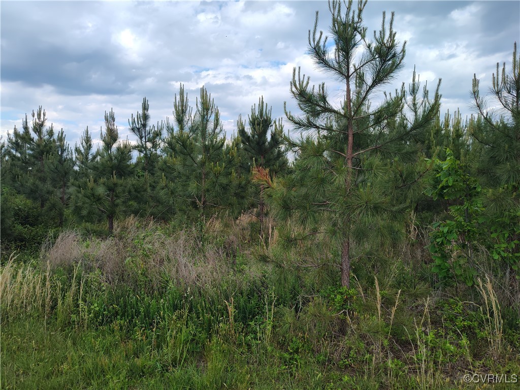 878 Dusty Road Crewe, VA 23930 - Photo 33 of 50 a view of a green field
