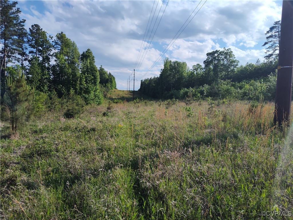 878 Dusty Road Crewe, VA 23930 - Photo 35 of 50 a view of a lake